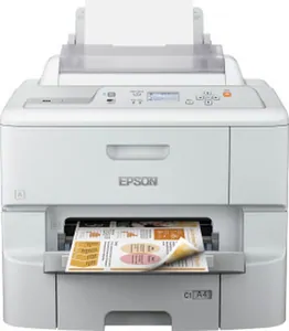 Замена памперса на принтере Epson WF-6090DW в Ростове-на-Дону